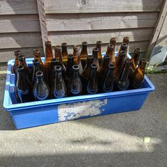 free beer bottles