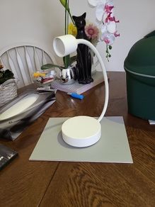 Camping light