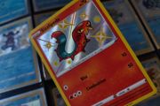 Sizzlipede !  Baby Shiny ! Shiny Rare ! from Shining Fates Set ! 2019 ! Pokemon Card !