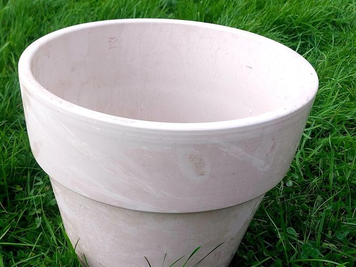 Plant Pot