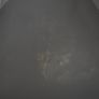 cat Image 6