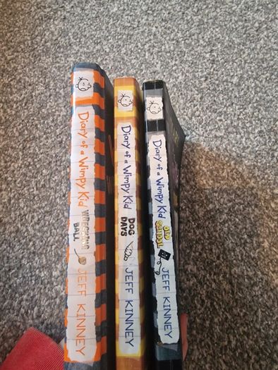 children's book