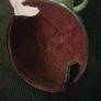 Vintage Arklow The Abbey Teapot Image 8