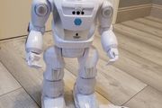 Robo-X Remote Control Walking Robot
