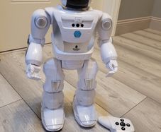 Robo-X Remote Control Walking Robot