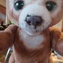 Cubby the Curious Bear Image 7