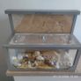 ant house Image 2