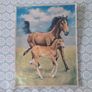 Horse prints Image 3