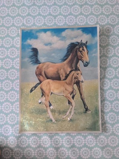 Horse prints