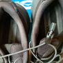 Hoka Transport GTX Image 4