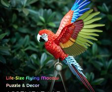 3D Printed Lifesize Macaw