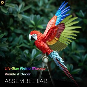 3D Printed Lifesize Macaw