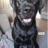 Happyhurler