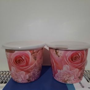 2 airtight containers