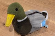 Zoo Duck teddy