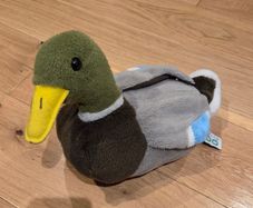 Zoo Duck teddy