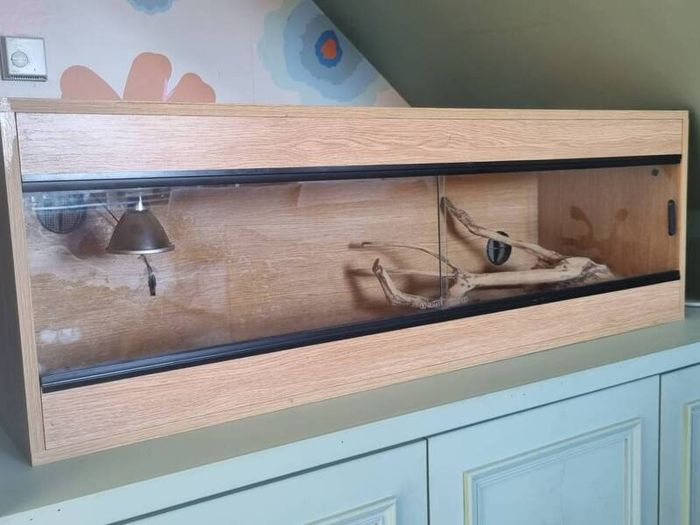 Vivarium and all accessories
