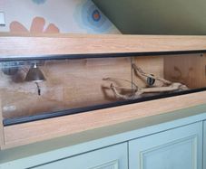 Vivarium and all accessories