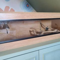 Vivarium and all accessories