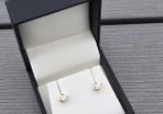 Brand New 14ct Yellow Gold Natural Solitaire Diamond Earrings