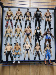 WWE Elite/Basic Figures