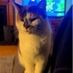 Milly Molly 321