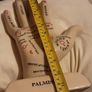 palmistry hand Image 2