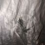 Perfect for Summer. gorgeous retro, brand new, never worn floral chemise Image 4