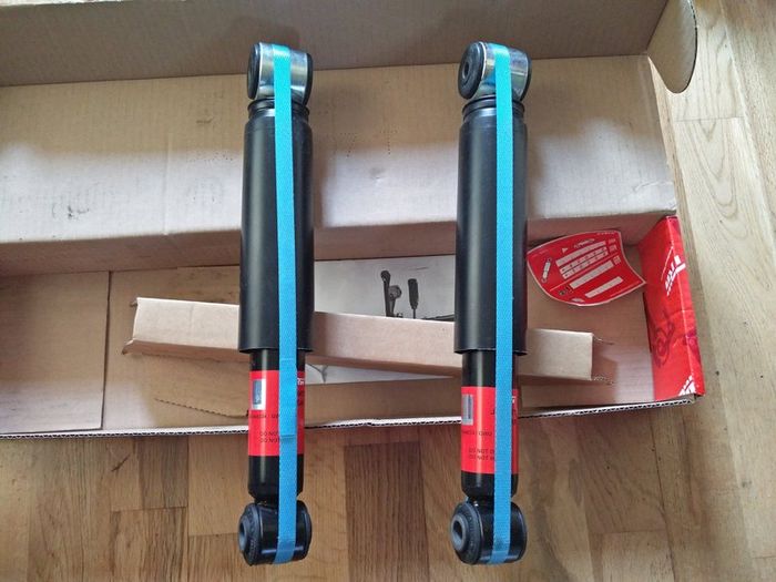 Citroen C2 C3 Peugeot 1007 REAR Shock Absorbers