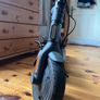 Ninebot KickScooter F20 Image 7