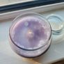 Yankee Candle Lemon Lavender Medium Jar Image 5