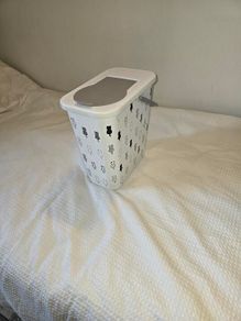 Cat Food Container With Scoop