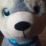 Big Dog teddy Image 3