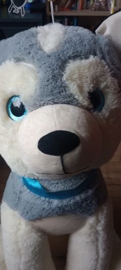 Big Dog teddy