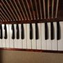 Piano accordian Image 4