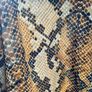 New Look print blouse size 14 Image 5