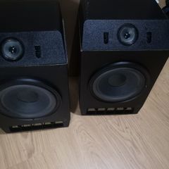 Bose 301