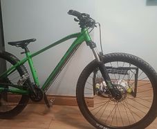 Mountain bike
