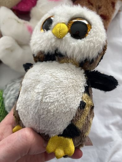 beanie boos with tags