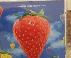 Lightning Seeds CD - Jollification
