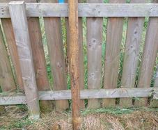 Pencil Fence Posts 5ft 75mm