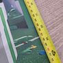 Birthday Backdrop and 7 invitations Image 2