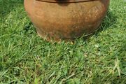 Terracotta planter
