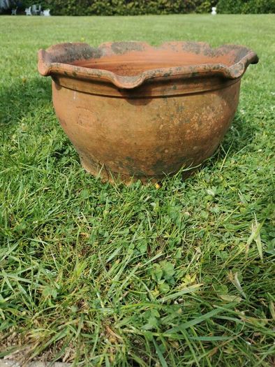 Terracotta planter