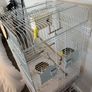 Bird cage for sale Image 2