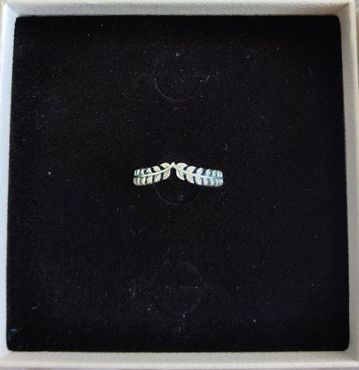 Pandora Silver Ring