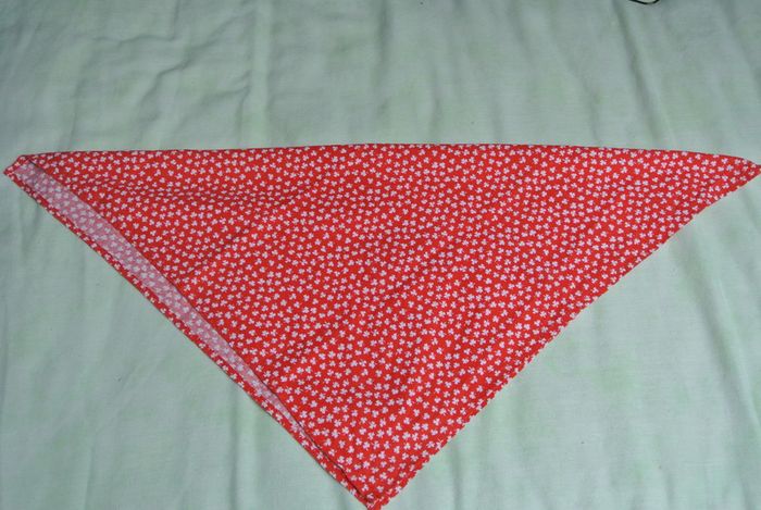 Beautiful Bandana (as New)