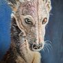 #2 Spanish Greyhound / Galgo Espaniol / oil painting on canvas panel Image 10