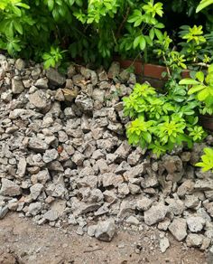 Rubble/Stone Filler