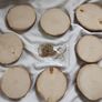 8 Sycamore Blanks with Hangers (25334) Image 2